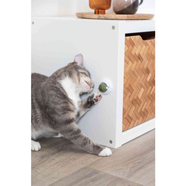 Balle d'herbe à chat avec support – Image 4