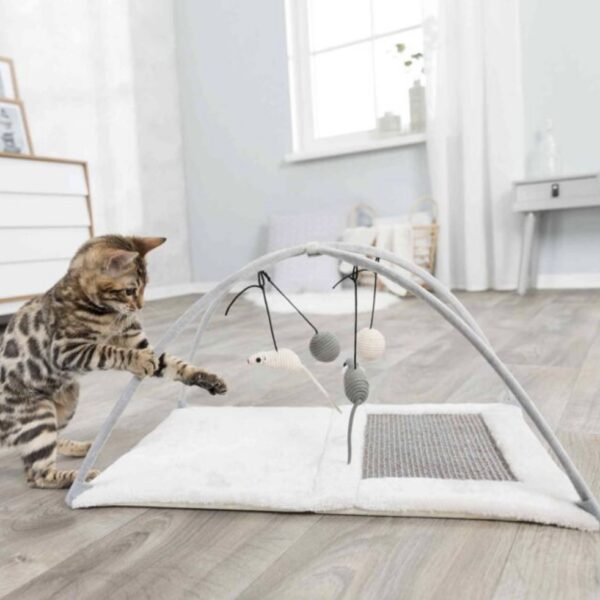 Tapis griffoir + arc de jeu – Image 3
