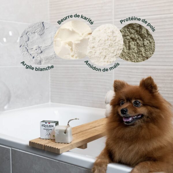 Shampooing solide chien et chat – Image 4
