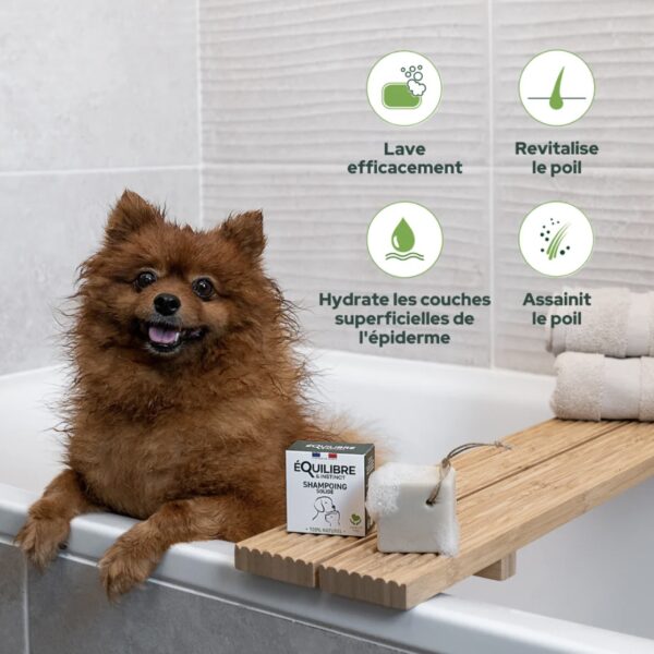 Shampooing solide chien et chat – Image 5