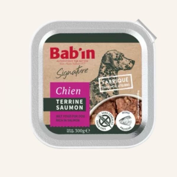 BAB'IN Chien Terrine – Image 2
