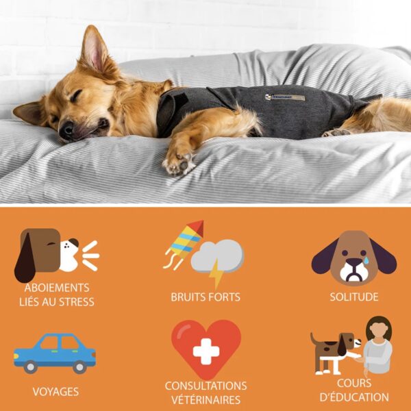 Gilet relaxant ThunderShirt – Image 7