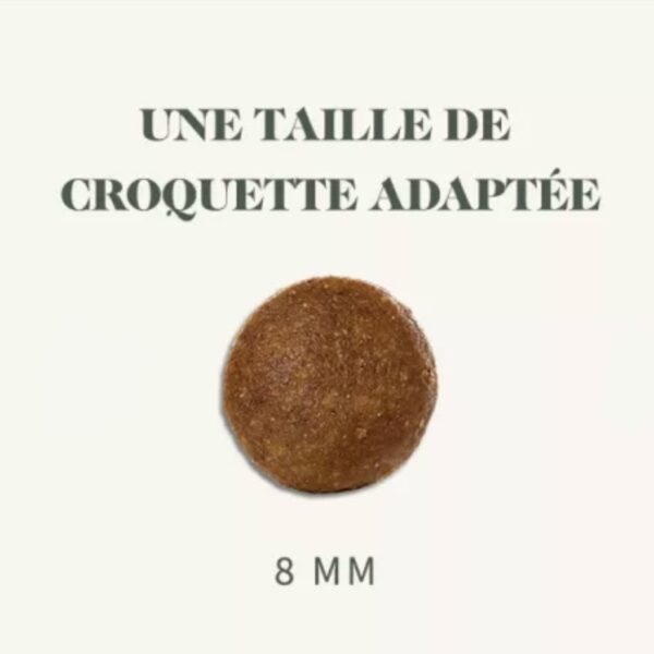 BAB'IN Chien Signature Adulte Mini Senior – Image 2