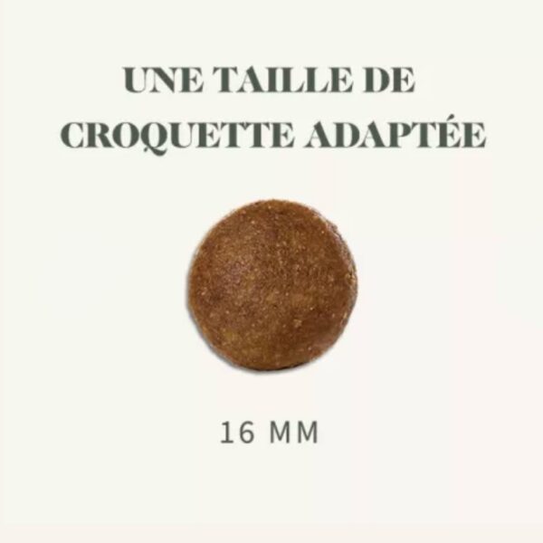 BAB'IN Chien Signature Adulte Medium & Maxi Senior – Image 2