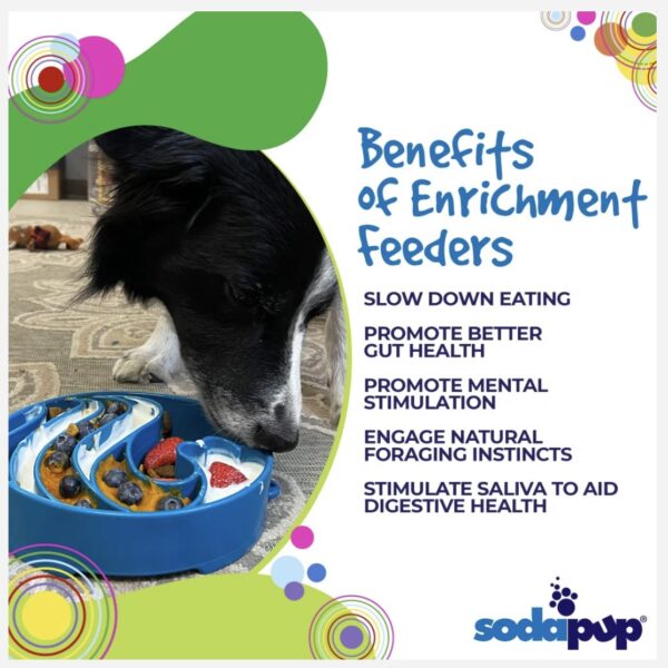 SODAPUP - Gamelle enrichissement - Vague – Image 2