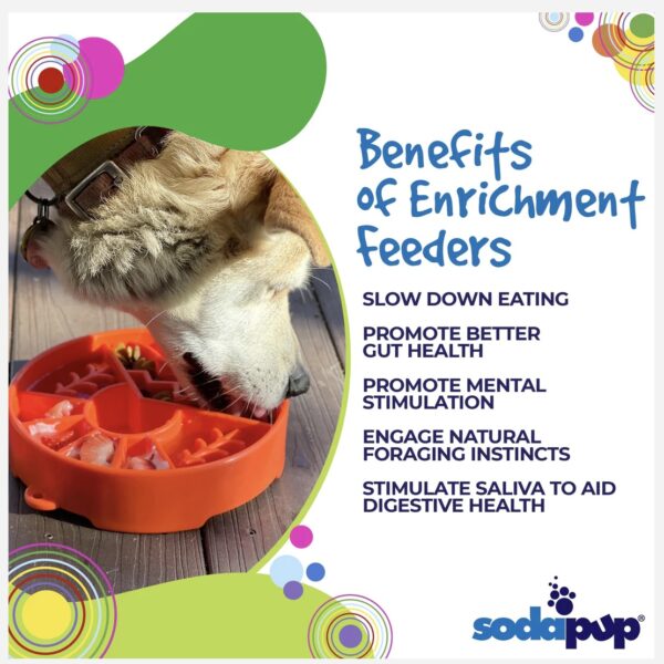 SODAPUP - Gamelle enrichissement - Great outdoors – Image 3