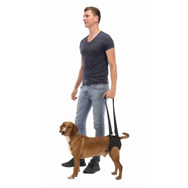 Harnais d'aide à la marche chien – Image 2