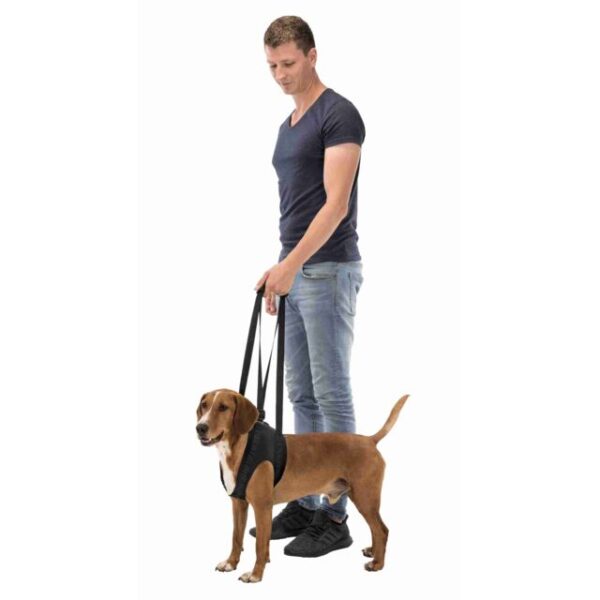 Harnais d'aide à la marche chien – Image 3