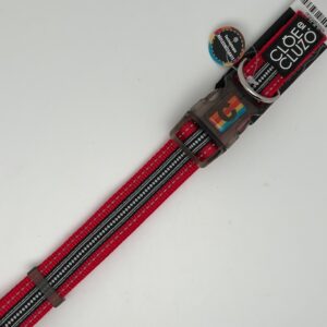 Collier chien réglable CloeCluzo