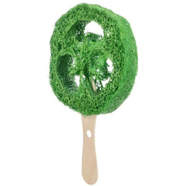 Jouet en luffa/bois pour rongeurs – Image 2
