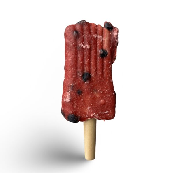 Friandise glace Ice Pop poulet - myrtille