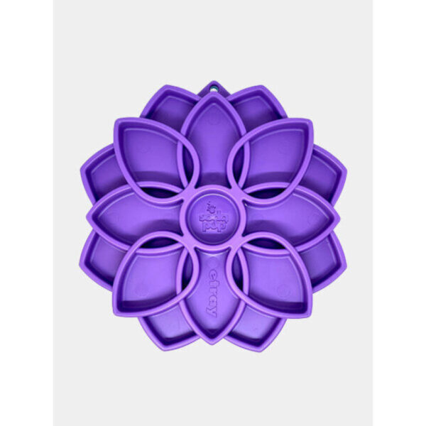 SODAPUP - Plateau d'enrichissement - Mandala violet