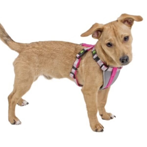 Harnais petit chien Kerbl – Image 3