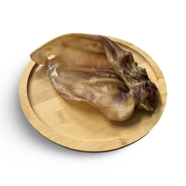 Oreille de porc XL avec pavillon