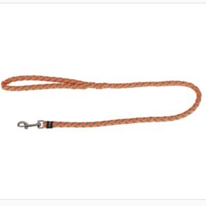Laisse Maxi safe