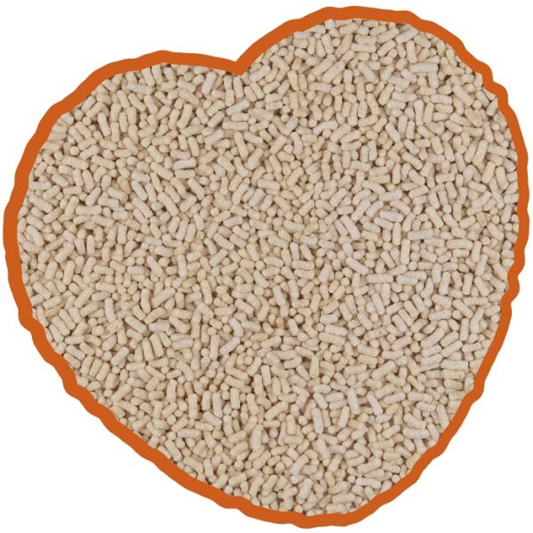 Batonnets beige pour étang – Image 2
