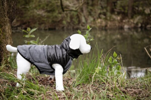 Manteau pour chien Quebec – Image 2