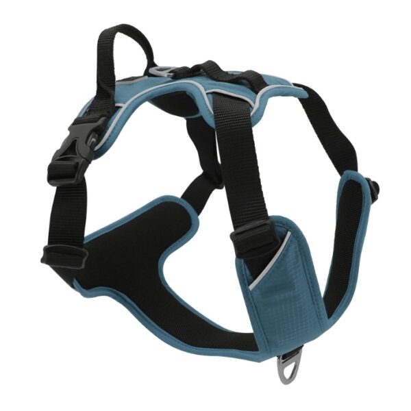 Harnais Jack and Vanilla Expedition – Image 4