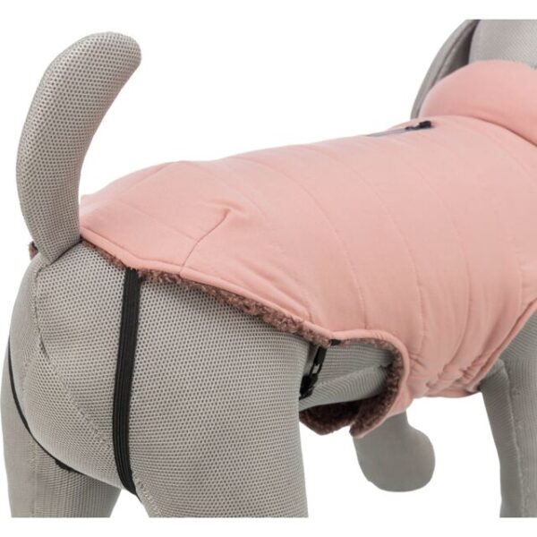 Manteau chien Lesmont – Image 5