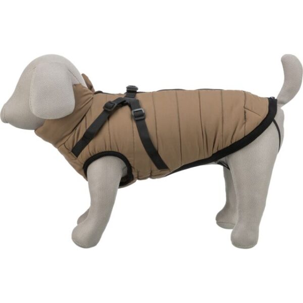 Manteau d’hiver avec harnais intégré Pirou – Image 3