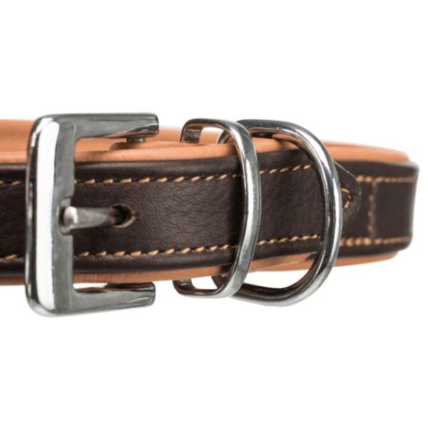 Collier chien Active Comfort en cuir brun – Image 2