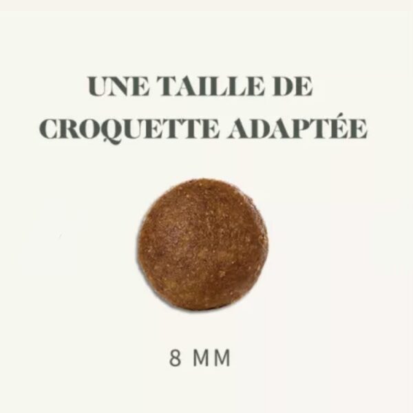 BAB'IN Chat Lab Adulte Urinaire – Image 4