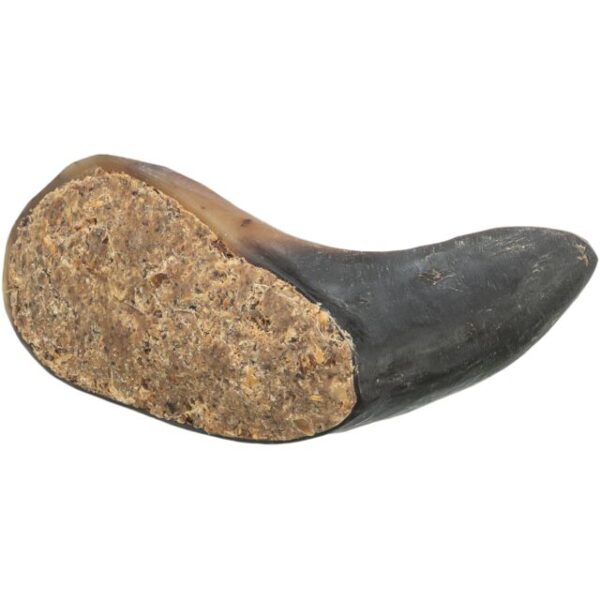 Corne de buffle avec farce au nerf et tendon – Image 2