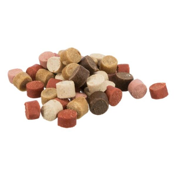 Snack mini trainer Dots Saumon 500g – Image 2