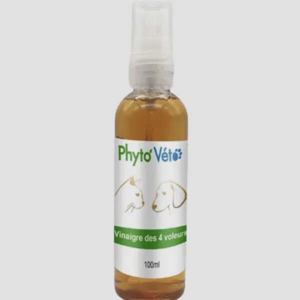 Vinaigre des 4 voleurs Phyto Veto 100ml