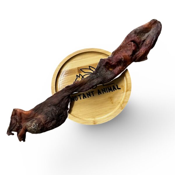 Nez de boeuf XL 40 à 80 cm