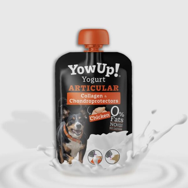 Yogurt YowUp! Articular 115g au Poulet