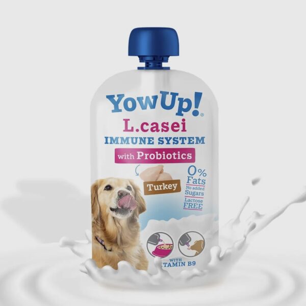 Yogurt YowUp! L-casei 115g à la dinde