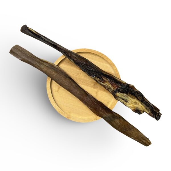 Stick peau de sanglier 50cm