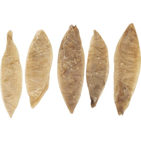 Vessie de buffle 100g – Image 2