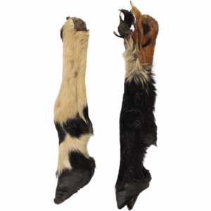 Pieds de mouton avec poils (2pcs)