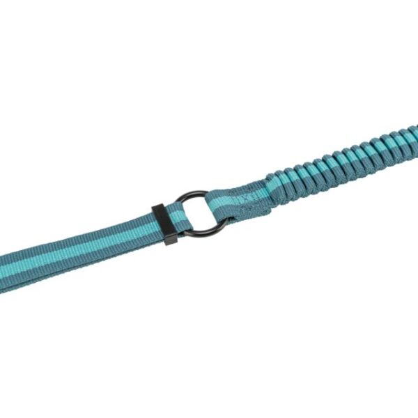 Laisse de jogging réglable de 1m33 à 1m80 - 20mm Pétrole/Aqua – Image 3
