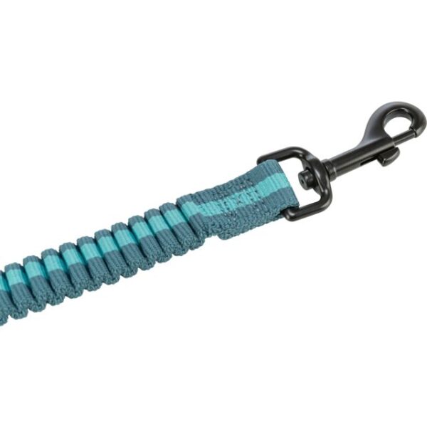 Laisse de jogging réglable de 1m33 à 1m80 - 20mm Pétrole/Aqua – Image 4