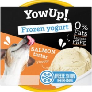 YowUp Yaourt Glacé pour chien et chat - Saumon - 110g