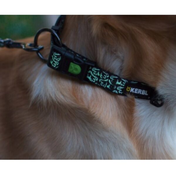 Collier Kerbl Shiny Night – Image 2