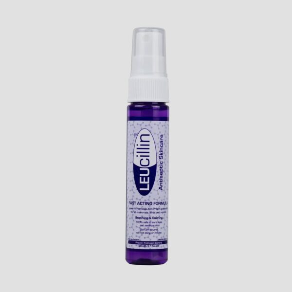 Antiseptique local Leucillin – Image 2