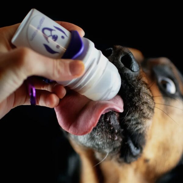 DOGGYROLLER pour friandises liquides