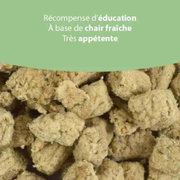 Lèche babines chien et chat Atavik - Saumon 100g – Image 2