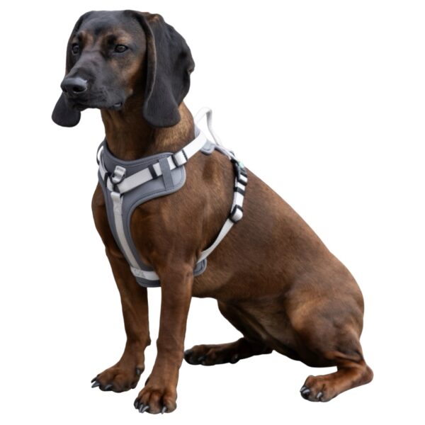 Harnais pour chien Kerbl Fitty – Image 2