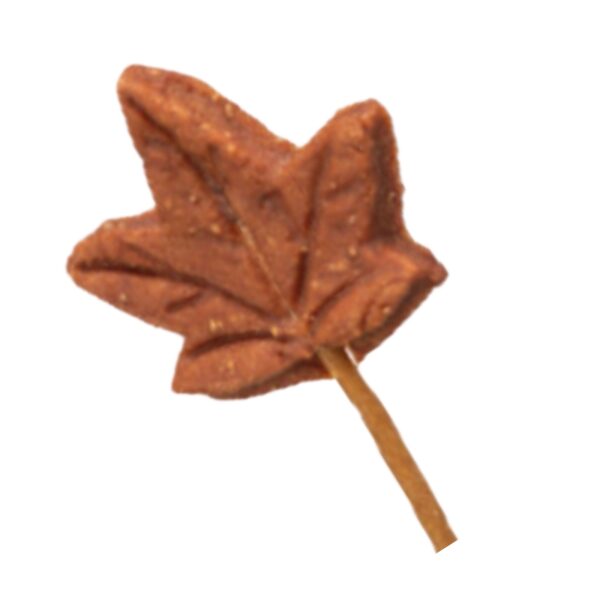 Feuille d'érable au magret de canard 11 cm