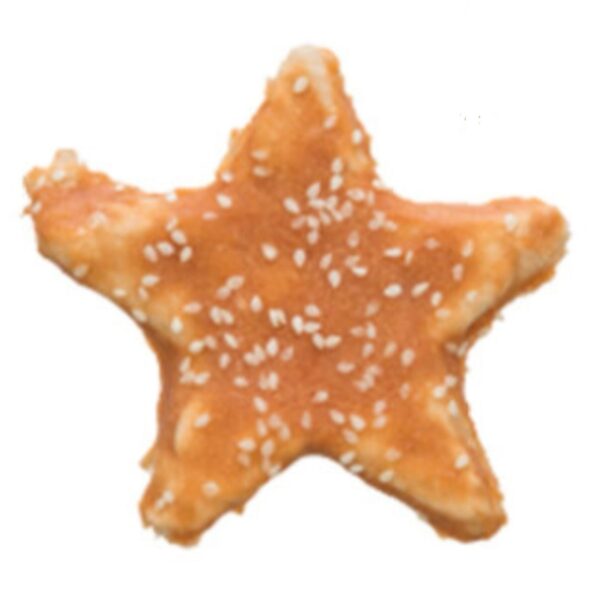Etoile dentafun au poulet 9 cm