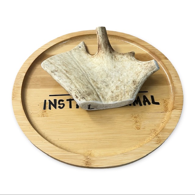 Bois de daim – Image 2