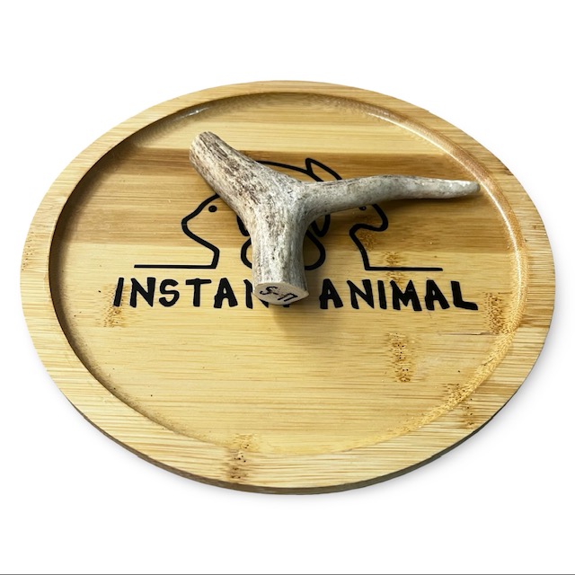 Bois de daim – Image 3