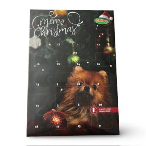 Calendrier de l'avent chiens - mini duos