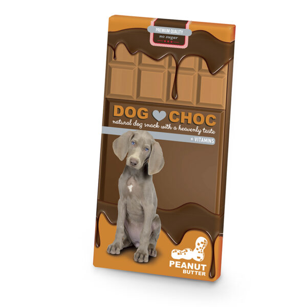 DogChoc beurre de cacahuète 100g