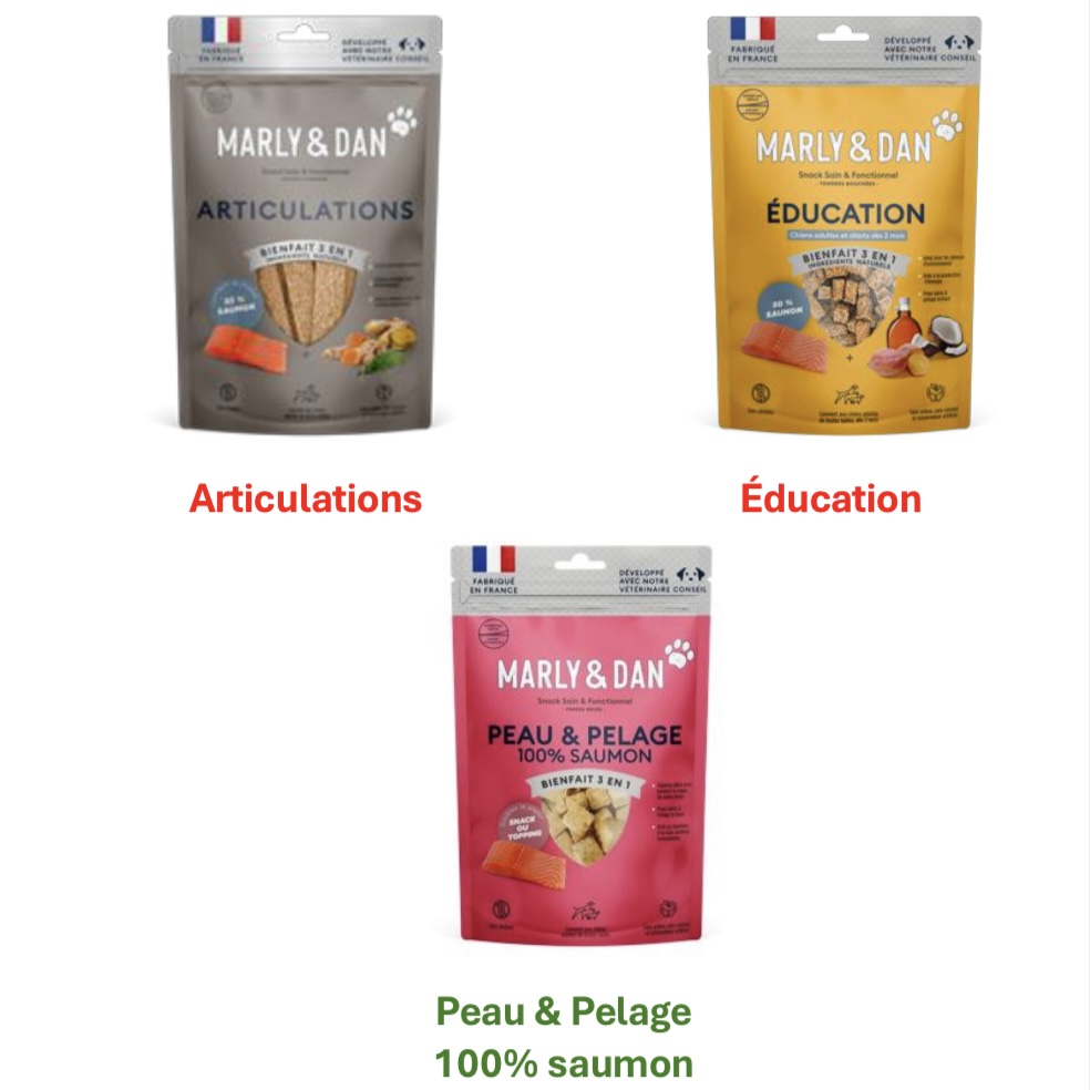 Coffret de noël Marly & Dan chien – Image 3